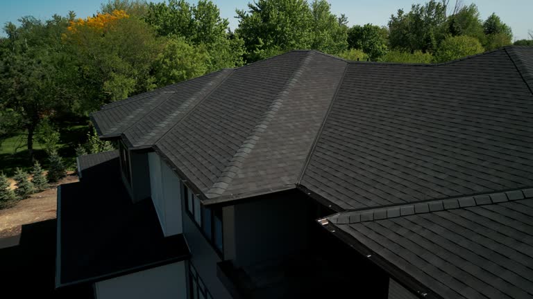 Best Roof Ventilation Installation  in Talty, TX